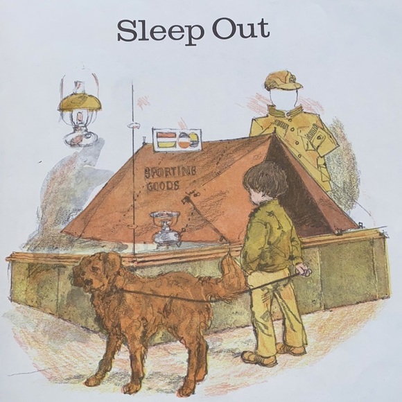 Sleep Out by Carol & Donald Carrick vintage hardback book - Picture 2 of 9
